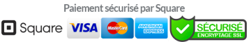 Visa, MasterCard, American Express, Stripe